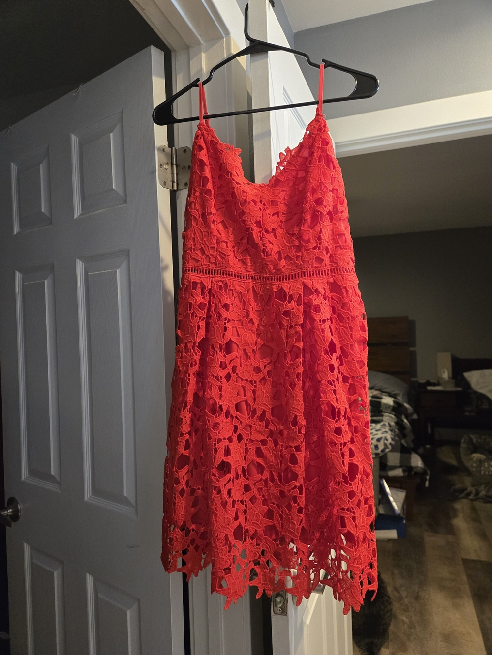 Pinkblush Red Lace Mini Dress with Spaghetti Straps